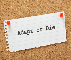 Adapt or Die? The Importance of Continuous Innovation Management