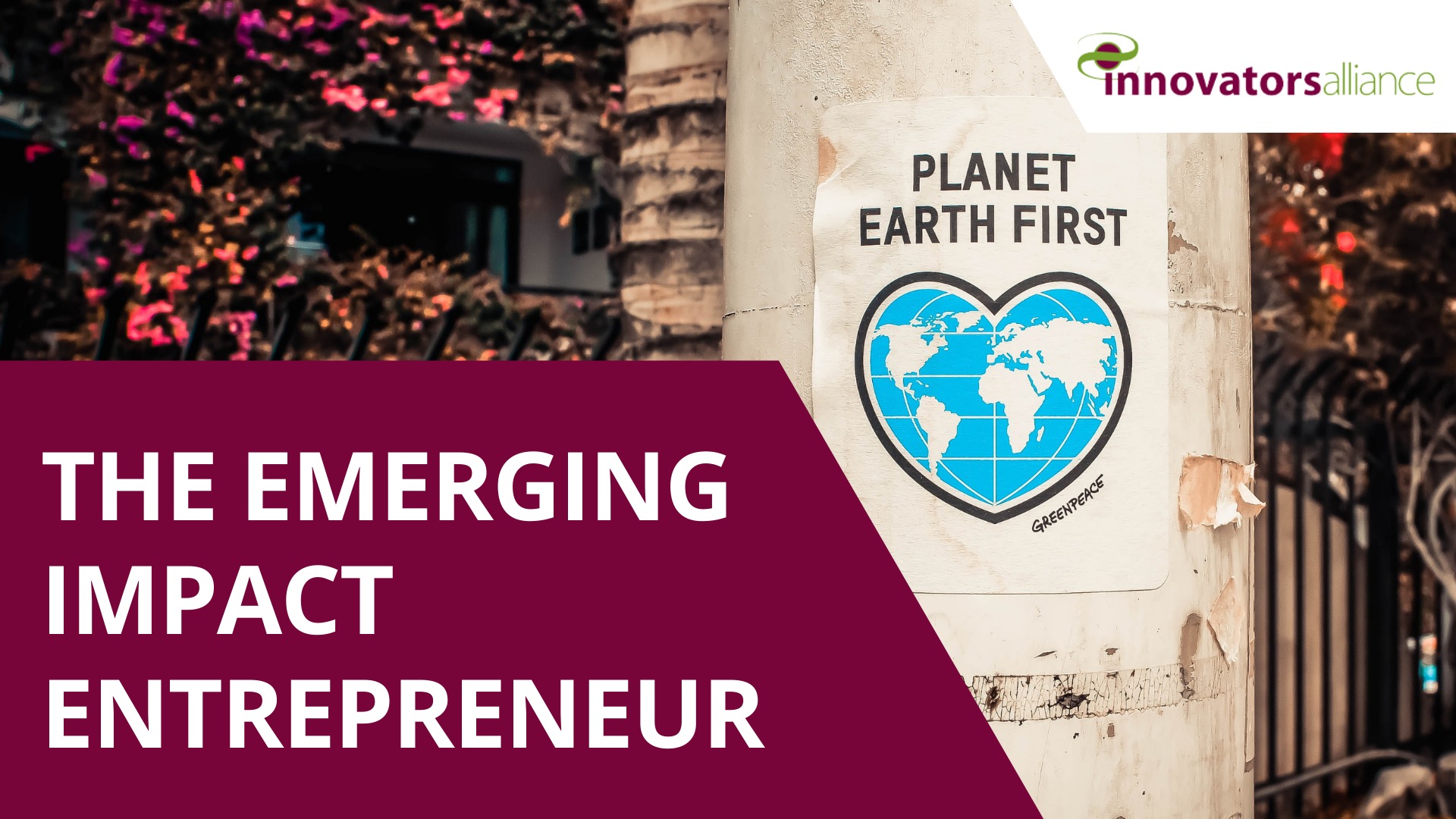 The emerging impact entrepreneur