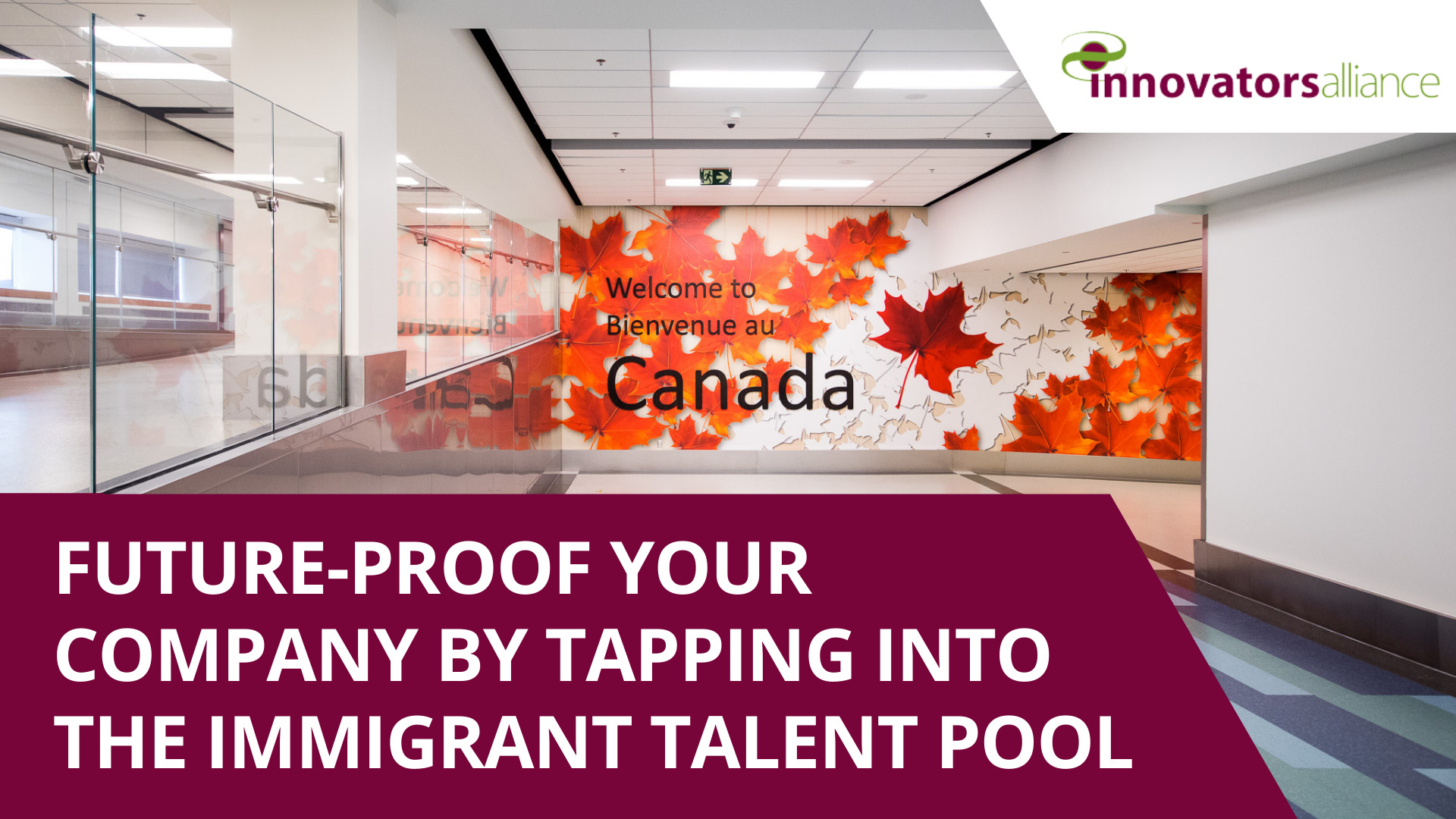 Make your company future-proof by using the Immigrant Talent Pool