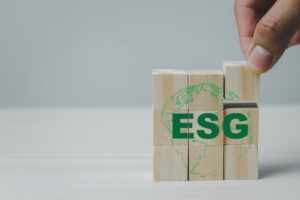 ESG building blocks